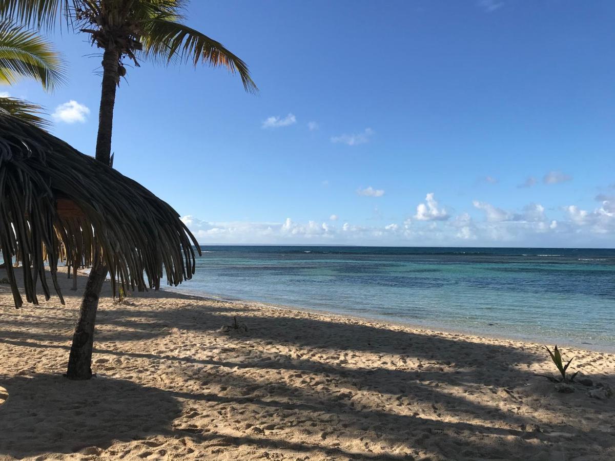 Brin D'Ile Anse Des Rochers Vue Mer A 50 M De La Plage Et Piscine Saint-Francois  Ngoại thất bức ảnh