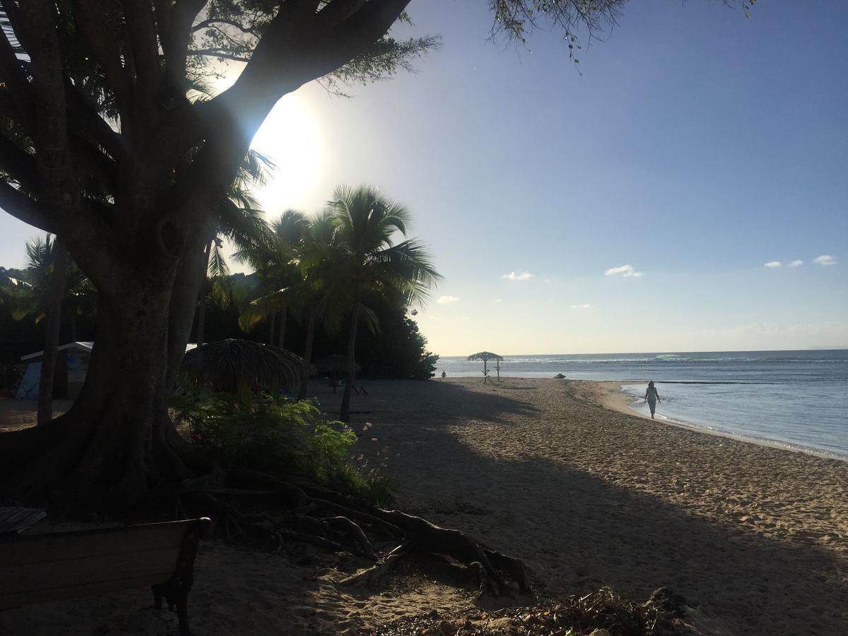 Brin D'Ile Anse Des Rochers Vue Mer A 50 M De La Plage Et Piscine Saint-Francois  Ngoại thất bức ảnh