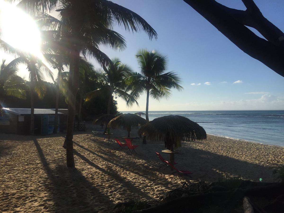 Brin D'Ile Anse Des Rochers Vue Mer A 50 M De La Plage Et Piscine Saint-Francois  Ngoại thất bức ảnh