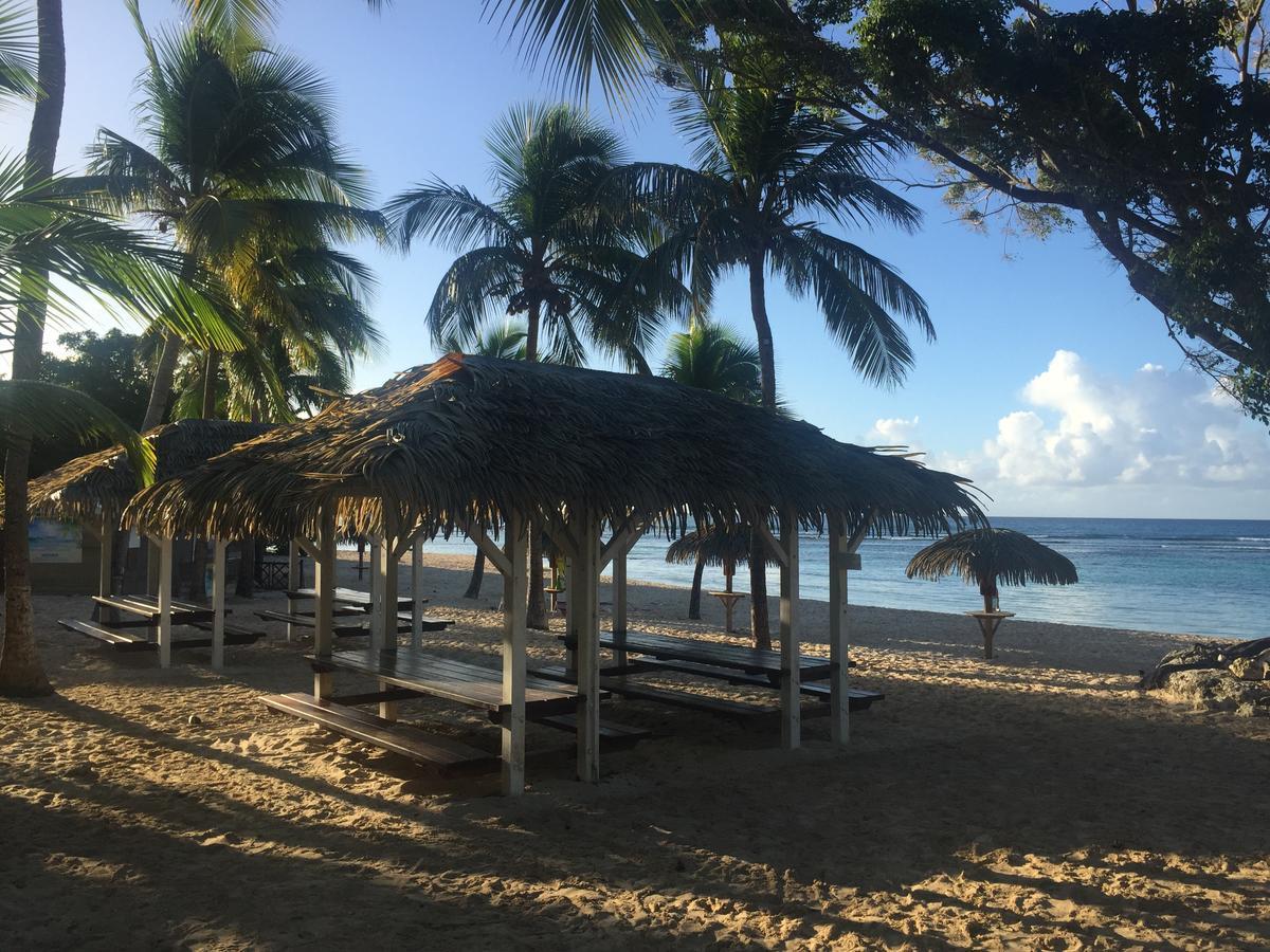 Brin D'Ile Anse Des Rochers Vue Mer A 50 M De La Plage Et Piscine Saint-Francois  Ngoại thất bức ảnh