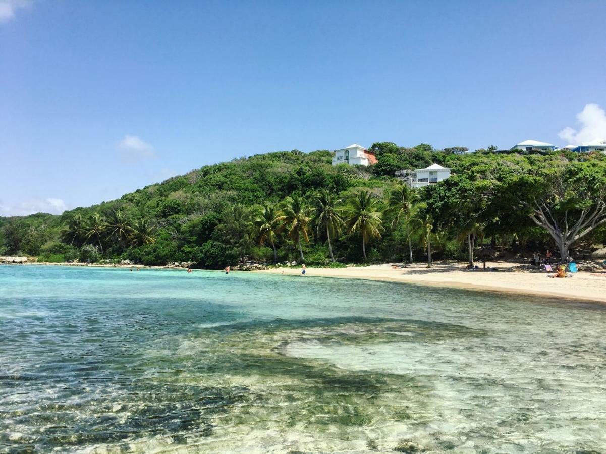 Brin D'Ile Anse Des Rochers Vue Mer A 50 M De La Plage Et Piscine Saint-Francois  Ngoại thất bức ảnh
