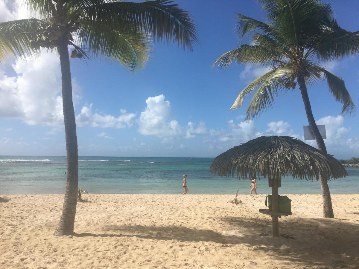 Brin D'Ile Anse Des Rochers Vue Mer A 50 M De La Plage Et Piscine Saint-Francois  Ngoại thất bức ảnh
